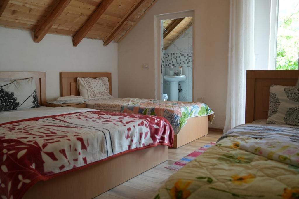Guesthouse Skender Selimaj Valbone Eksteriør bilde